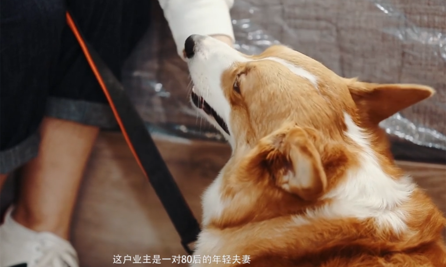 那些裝修后悔的事情大匯總 你家中槍了幾條？